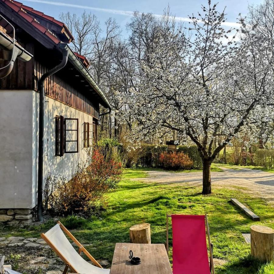 Apartmany Cerveny Dvur Chvalšiny Eksteriør billede