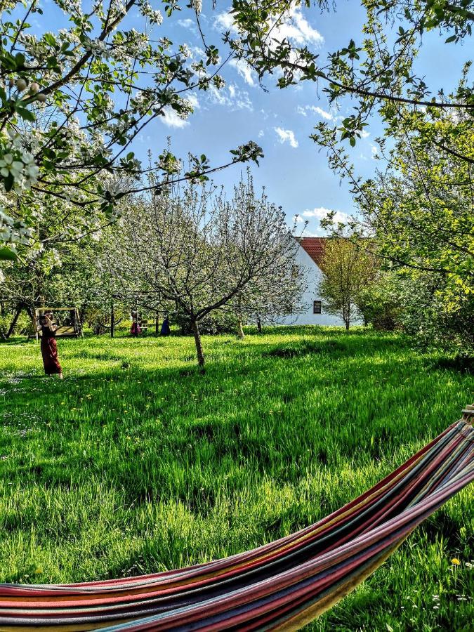 Apartmany Cerveny Dvur Chvalšiny Eksteriør billede